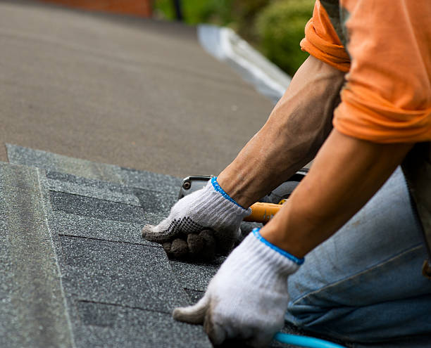 Best Metal Roofing Contractor  in Allison Rk, PA